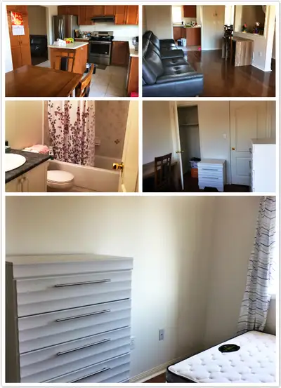 room also homestay Good location. 3030 breakwater court,Mississauga L5B 4N6. Very beautiful townhous...