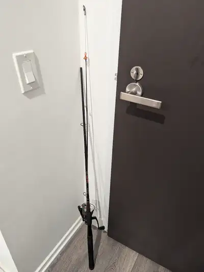Fishing Rod Ugly Stik GX2 Shakespeare - Yonge / College, View more