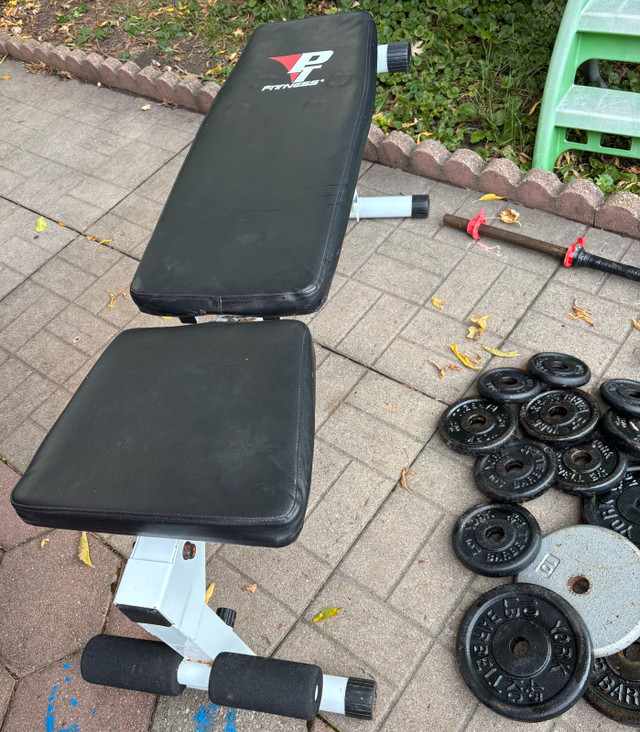 Metal Weights/Dumbells/Barbell in Exercise Equipment in Ottawa - Image 4
