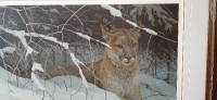 Robert Bateman Painting Cougar In The Snow
