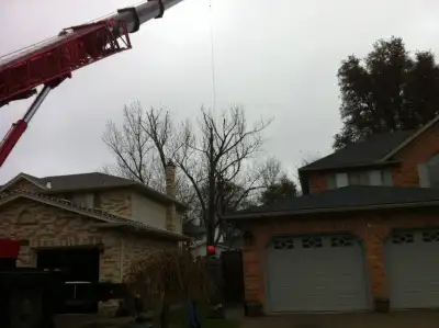 AtoZ VIKING TREE SERVICE - FAMILY OWNED AND LOCALLY OPERATED WE'LL BEAT ANY QUOTE BY 10% $$$ FRONT Y...