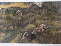 Robert Bateman - signed numbered framed print of owl