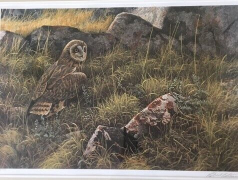 Robert Bateman - signed numbered framed print of owl in Arts & Collectibles in Oshawa / Durham Region
