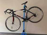 Carbon Framed Bike - Moving Sale - $500!