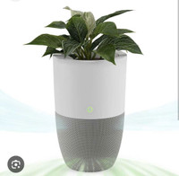 Dupray Bloom Air Purifier for Large Rooms