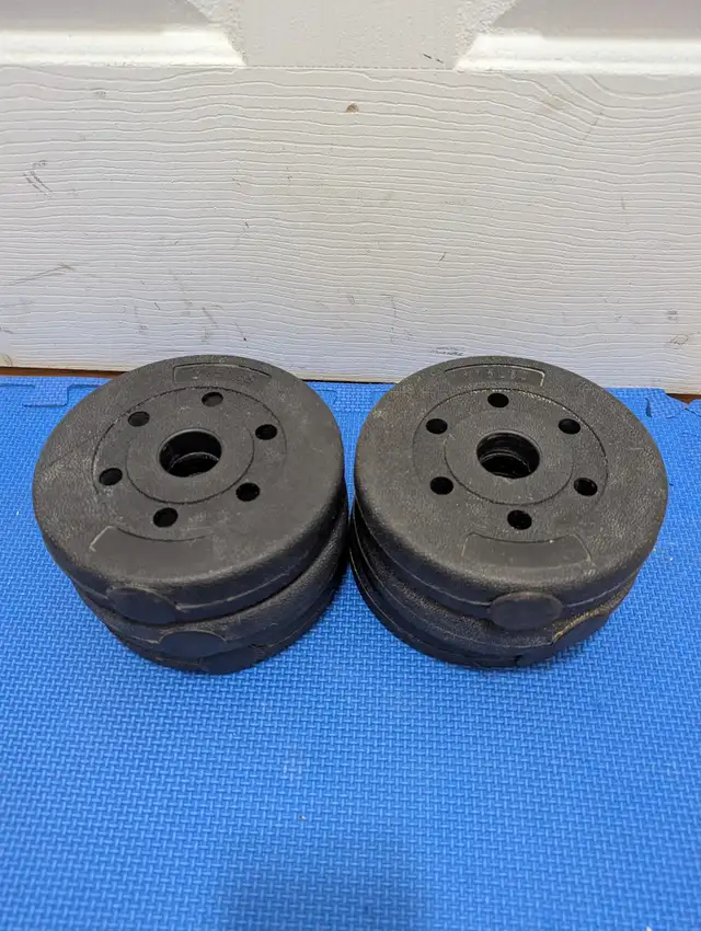 vinyl weight plates $0.50/lbs in Exercise Equipment in Delta/Surrey/Langley - Image 4
