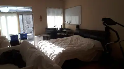 Loft is in quiet concrete 4plex with ten foot ceilings, halogen lighting, podium tub and large balco...