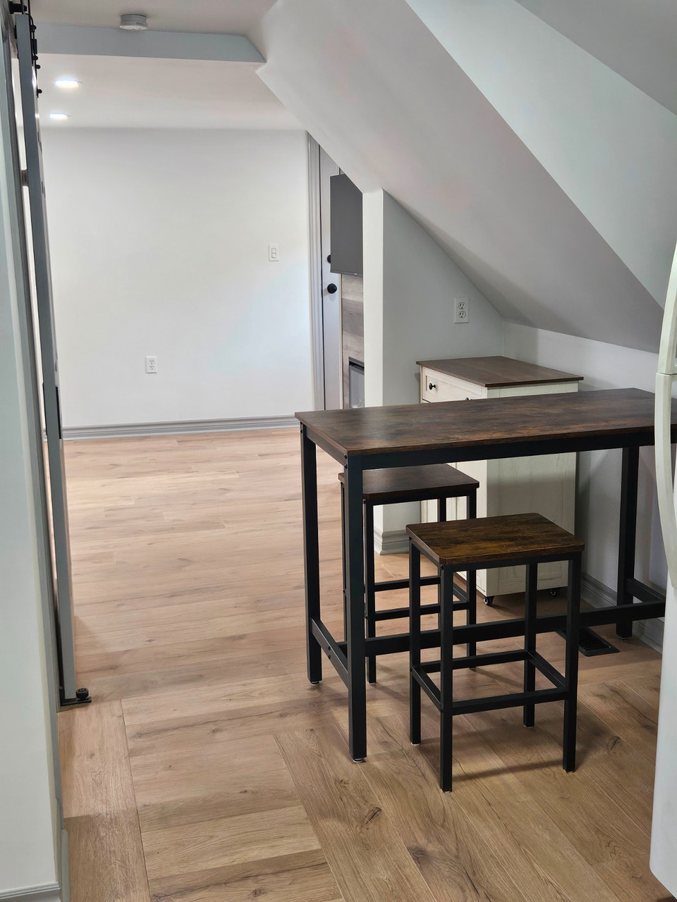 Renovated 1 bedroom apt. 3