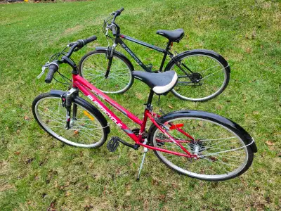 Adult Commuter Bikes For Sale, 1st Bike: Mens dark grey Supercycle Solaris, 18 inch steel frame, 18...