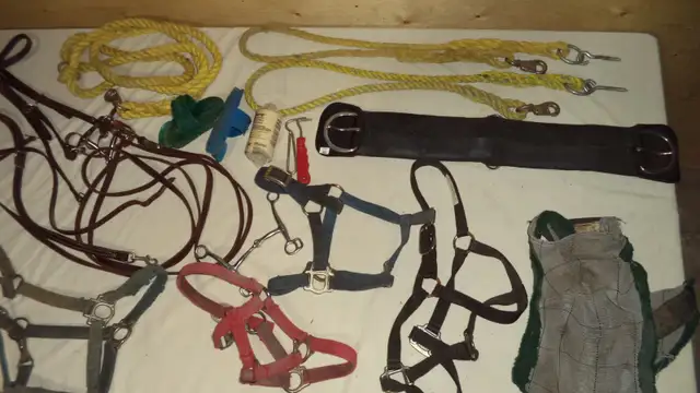 Horse Tack64689497002883120