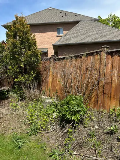 junk removal , View more