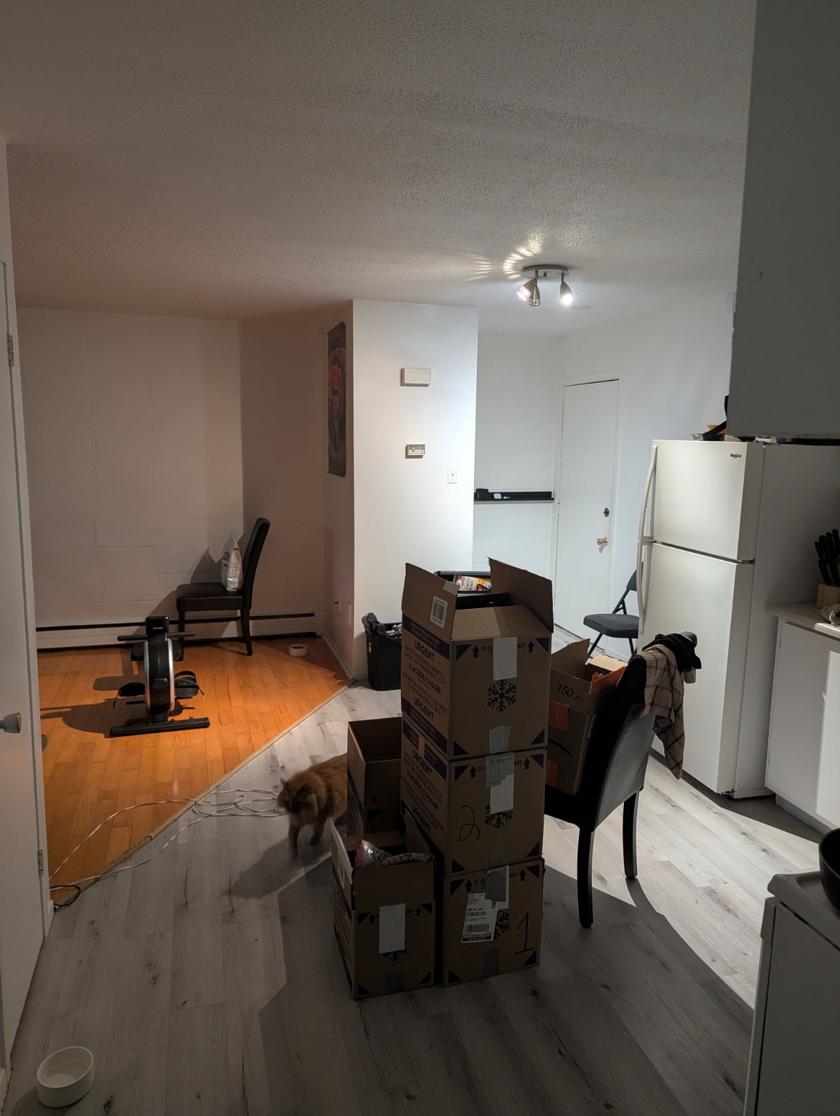 2780 Rue Mézy — photo 1