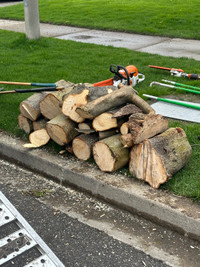  Free firewood   small load