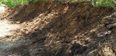 Landscape trees 7.50 per foot manure 5 per 5gal bucket or 100 per yard , decoration rocks 5ea and up...