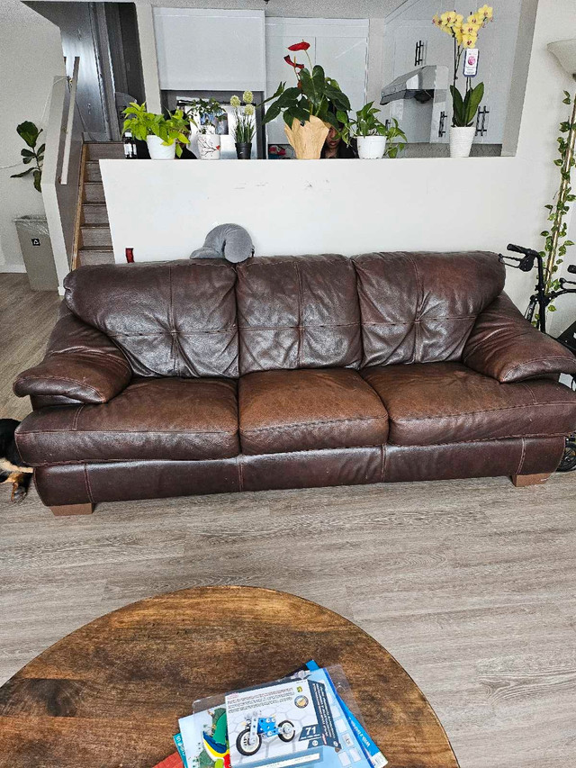 Genuine leather couch in Couches & Futons in Calgary