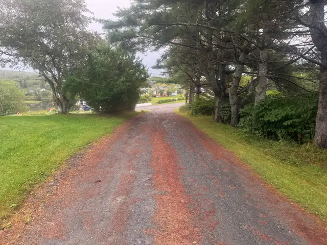 ocean view sleeps 8-12 fast internet in Nova Scotia in Canada - Image 3