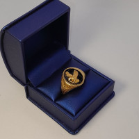 10k Gold Eagle Ring 4.07 Grams - Size 12