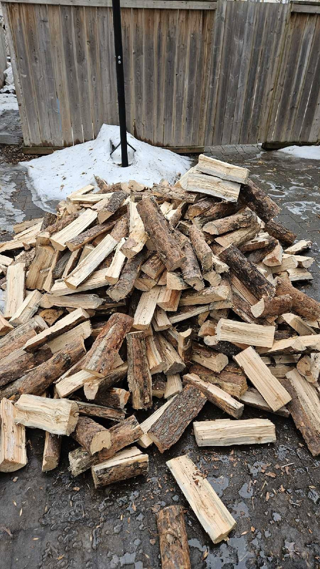 Firewood for sale. Jackpine  in Fireplace & Firewood in Winnipeg - Image 2