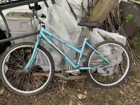 Trailblazer Adult bike - $100