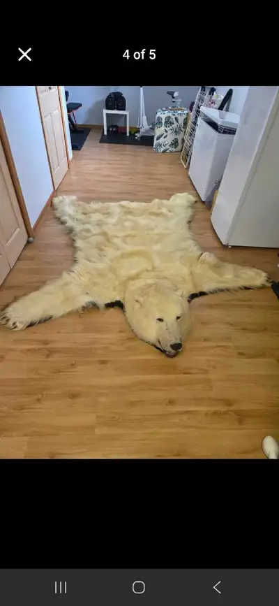 polar bear rug , View more