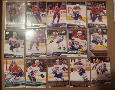 Lots of Young Guns rookie cards for trade or sale. Preferably trade long for Patrick Roy or Daniel A...