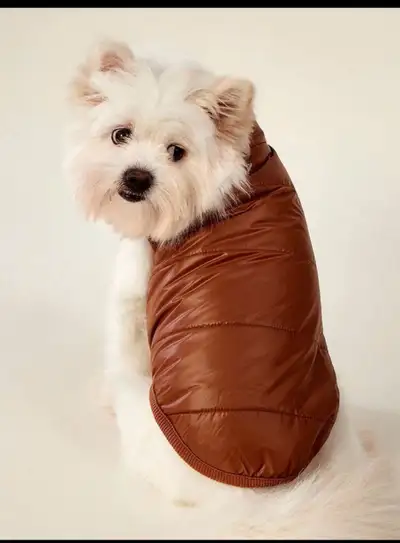Brown Puffer Dog Vest with thermal Lining, View more