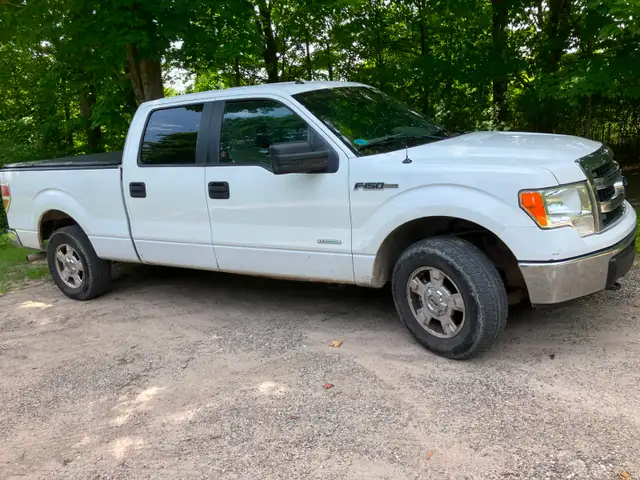 2013 FORD F150 4X4 XLT