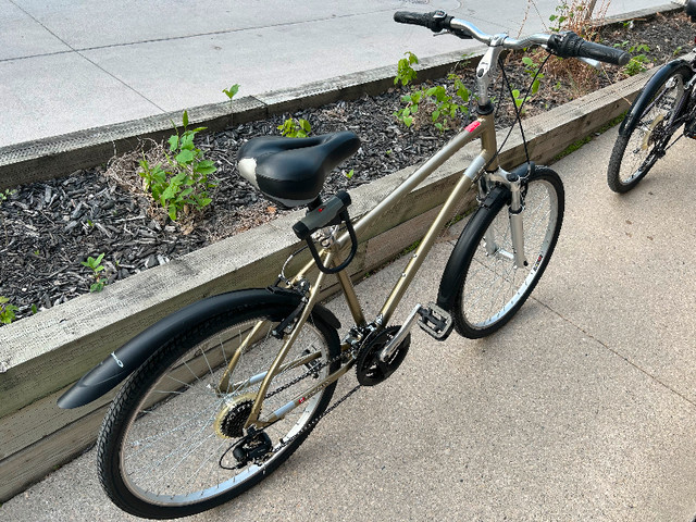 Raleigh City/Commuter/Comfort Bike in Cruiser, Commuter & Hybrid in Winnipeg - Image 3