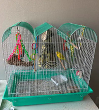 Bird cage - need gone asap