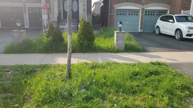 Lawn Mowing Service (Residential & Commercial) in Lawn, Tree Maintenance & Eavestrough in Mississauga / Peel Region - Image 5