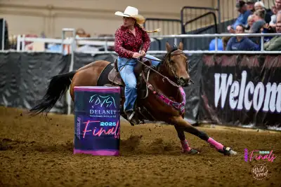 Unicorn All-Around Mare Deluxe! 2D/3D Proven, Safe, and Sound Outstanding All-Around Mare For Sale 2...