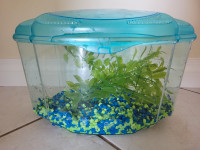 Small aquarium with gravel and plants