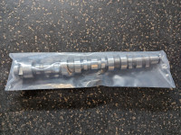 Sea-Doo Race Camshaft