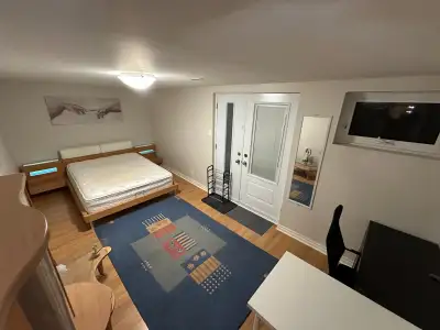 Available from January1st For one working, non-smoking person without animals. Utilities and Wi-Fi I...