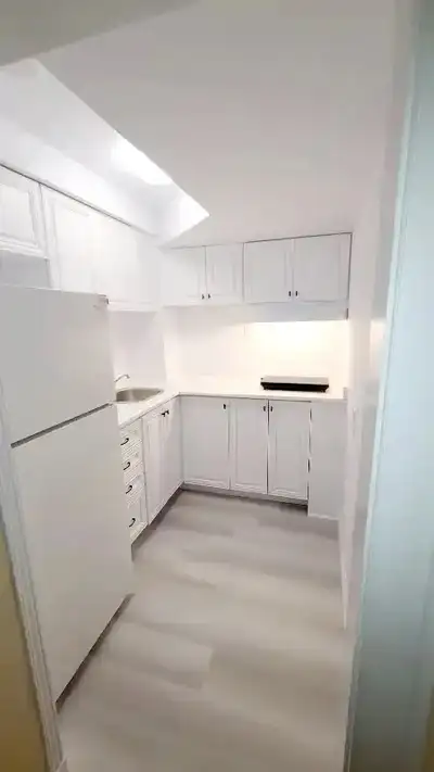 Newly Renovated Basement Apartment for Rent in Churchill Meadows Mississauga by HWY 403 & Winston Ch...