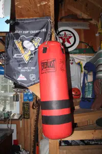 Sac d'entrainement (Punching bag)