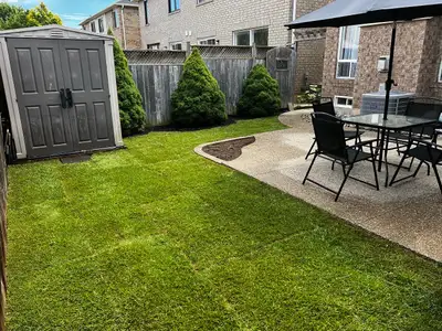 New Lawn Fast! Professional Sodding Service - Mississauga/GTA, View more