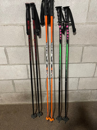 Ski Pole Variety