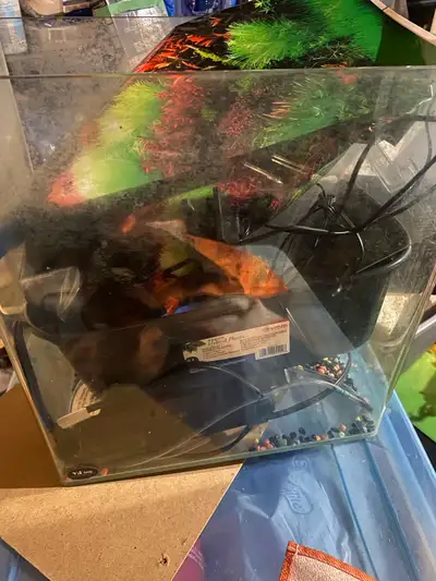 YiDing aquarium + accessories , View more