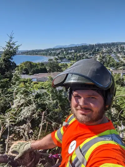 Treebeard's Tree Care - Proudly serving the Annapolis Valley, View more