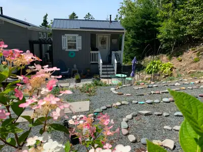 Solo Vacation in a Tiny House, View more