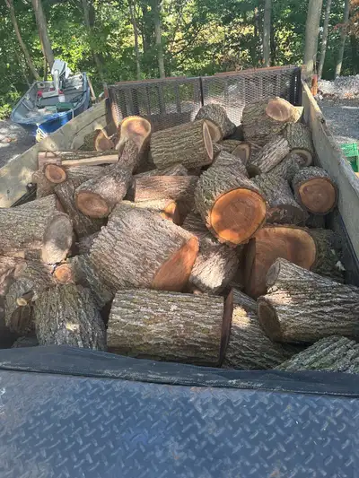BLACK WALNUT FIREWOOD, View more
