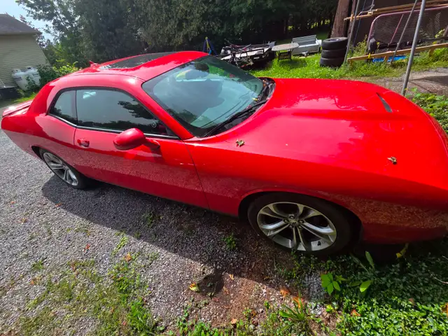 2020 Dodge Challenger GT RWD - 111 500km