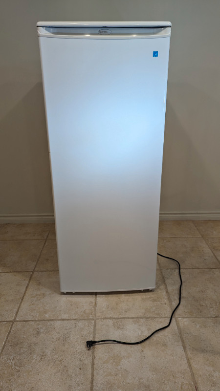 Danby upright freezer, 10.1 cu. ft. (DUFM101A1WDD1) in Freezers in Windsor Region