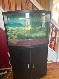  36 gallon fish tank 