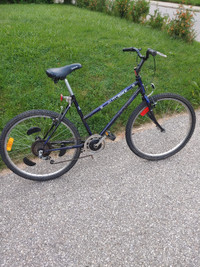 Kijiji deals ladies bike