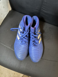 adidas predator 19.2 blue