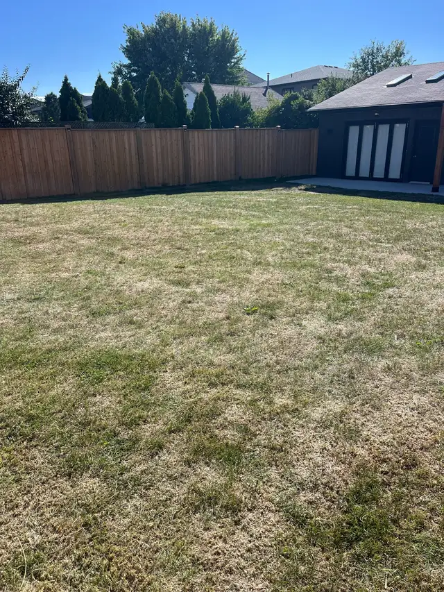landscape quote63749411874945124