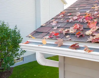GUTTER AND GUTTER PROTECTION INSTALLERS NEEDED ASAP!, View more