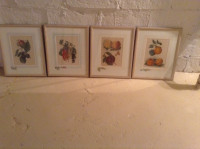 Framed Fruit Prints